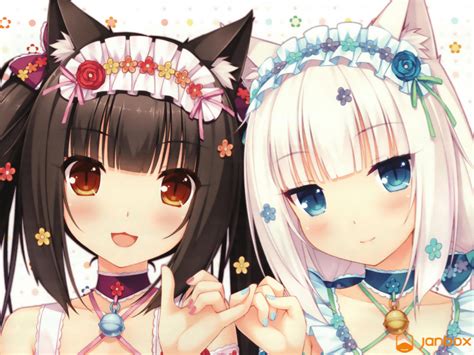 cat anime girl|Catgirls Characters